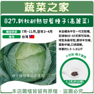 B27.新秋耐熱甘藍種子(高麗菜)0.2克(約30顆)
