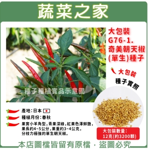 大包裝G76-1.奇美朝天椒(單生)種子12克(約3200顆)
