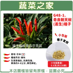 G48-1.奇良朝天椒(叢生)種子0.6克(約130顆)