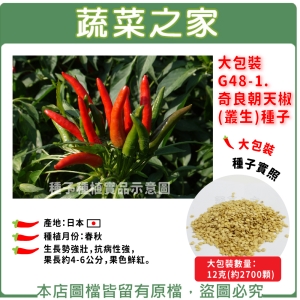 大包裝G48-1..奇良朝天椒(叢生)種子12克(約2700顆)