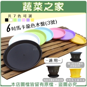 【蔬菜之家015-F03】6吋馬卡龍色水盤(3號)共7色可選
