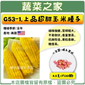 G53-1.上品超甜玉米種子4.5克(約30顆)