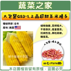 大包裝G53-1.上品超甜玉米種子80克(約570顆)