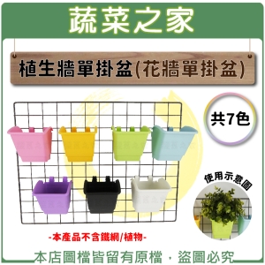【蔬菜之家005-B11】植生牆單掛盆(花牆單掛盆)共7色