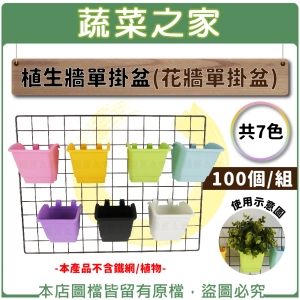 【蔬菜之家005-B11-1】植生牆單掛盆(花牆單掛盆) 100個/組 共7色
