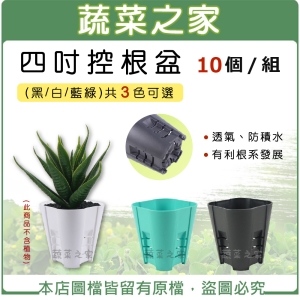 【蔬菜之家005-D157-1】4吋控根盆 10個/組 (黑色/白色/藍綠色三色可選)