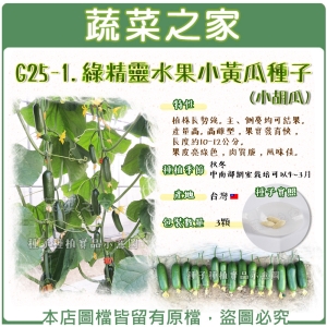 G25-1.綠精靈水果小黃瓜種子3顆(小胡瓜)