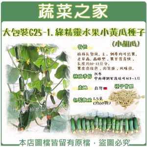 大包裝G25-1.綠精靈水果小黃瓜種子1.5克(約60顆)(小胡瓜)