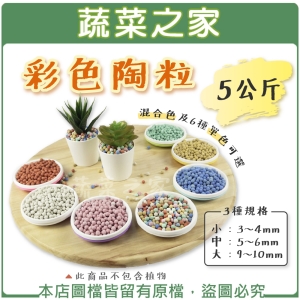 【蔬菜之家001-A206】彩色陶粒5公斤 (混合色及單色6色，3種規格可選) 陶碳球 土陶粒