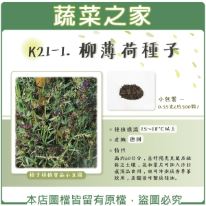 K21-1.柳薄荷種子0.55克(約500顆)(神香草.海壽花)