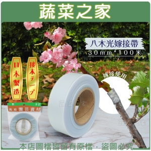【蔬菜之家009-UV1】八木光嫁接帶30mm*100米