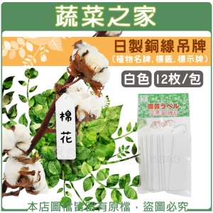【蔬菜之家011-AZ14】日製銅線吊牌 -白色(12枚/包)植物名牌.標籤.標示牌