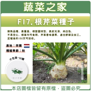 F17.根芹菜種子30顆