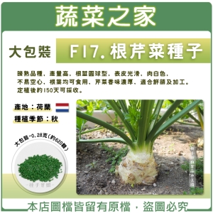 大包裝F17.根芹菜種子0.28克(約620顆)