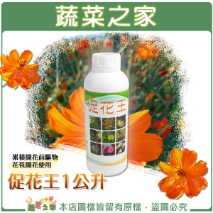 【蔬菜之家002-B81】促花王1公升 (累積開花前驅物、花苞開花使用)