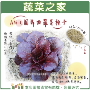【蔬菜之家】A76-1.圓舞曲蘿蔓種子0.6克(約550顆)