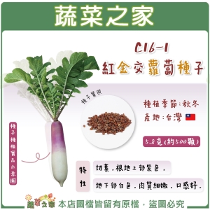 【蔬菜之家】C16-1.紅金交蘿蔔種子5.8克(約500顆)