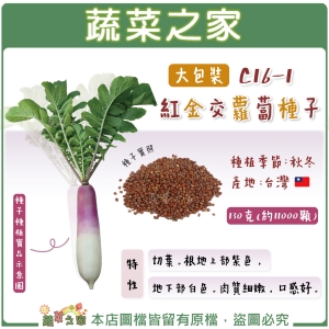 【蔬菜之家00C16-1】大包裝.紅金交蘿蔔種子130克(11000顆)