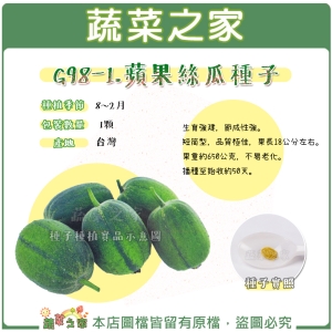 【蔬菜之家】G98-1.蘋果絲瓜種子1顆