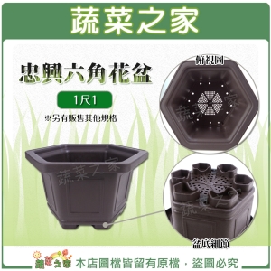 【蔬菜之家005-D161-11】忠興六角花盆 1尺1(加厚材質)