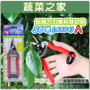 【蔬菜之家009-A13】短翹刀刃專利芽切剪36號(彎型SG36)
