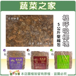 【蔬菜之家】根呼吸椰塊5公斤壓縮包-大粒(紫)、中粒(棕)、小粒(綠)