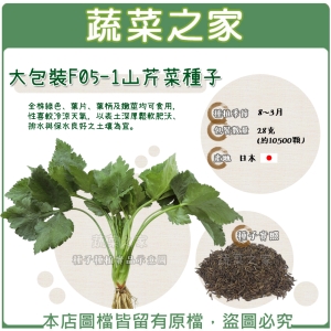 【蔬菜之家00F05-1】大包裝.山芹菜種子28克(約10500顆)