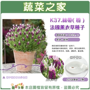 【蔬菜之家】K37.絲帶( 粉 )法國薰衣草種子 2顆