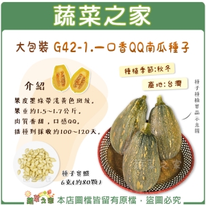 【蔬菜之家00G42-1】大包裝.一口香QQ南瓜種子6克(約80顆)