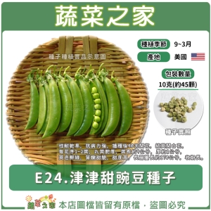 E24.津津甜豌豆種子10克(約45顆)