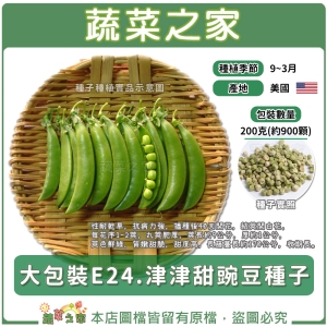 大包裝E24.津津甜豌豆種子200克(約900顆)