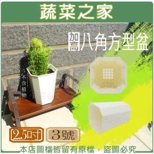 【蔬菜之家005-D160-3】加高八角方型盆2.5吋(3號)
