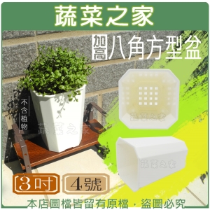 【蔬菜之家005-D160-4】加高八角方型盆3吋(4號)