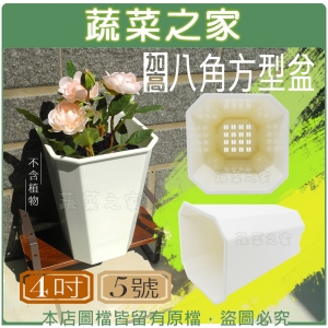 【蔬菜之家005-D160-5】加高八角方型盆4吋(5號)
