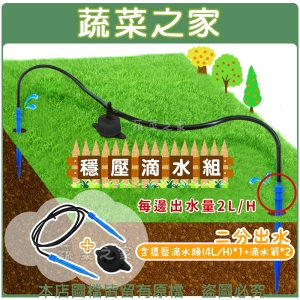 【蔬菜之家007-AE602】穩壓滴水組二分出水(含穩壓滴水頭(4L/H)*1＋滴水箭*2)