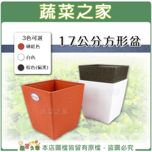 【蔬菜之家005-D162】方型盆17公分 (磚紅色、白色、棕色共3色可選)