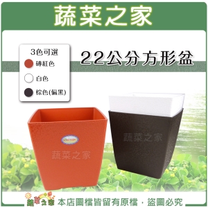 【蔬菜之家005-D163】方型盆22公分(22.5*22.5*23cm)磚紅色、白色、棕色共3色可選