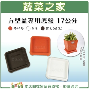 【蔬菜之家015-E37】方型盆專用底盤 17公分(磚紅色、白色、棕色共3色可選)