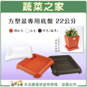 【蔬菜之家015-E38】方型盆專用底盤 22公分 (磚紅色、白色、棕色共3色可選)