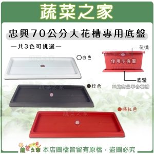 【蔬菜之家015-E39】忠興70公分大花槽專用底盤(白色.棕色.磚紅色共3色可挑選)