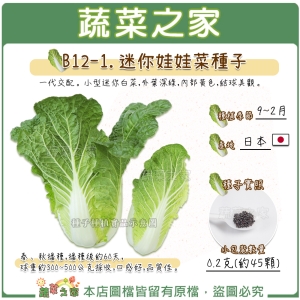 【蔬菜之家】B12-1.迷你娃娃菜種子