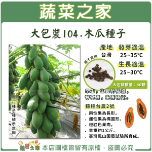 【蔬菜之家00I04】木瓜種子40顆