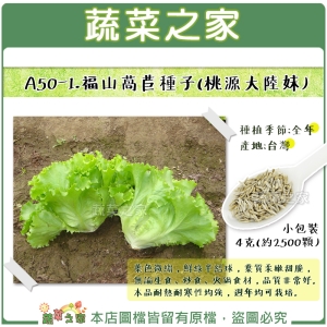 【蔬菜之家】A50-1.福山萵苣種子(桃源大陸妹)4克(約2500顆)