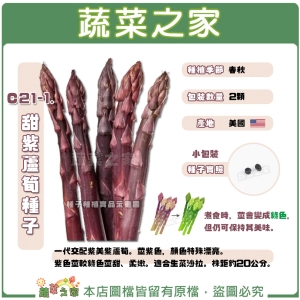 【蔬菜之家】C21-1.甜紫蘆筍種子2顆