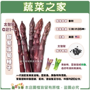 【蔬菜之家00C21-1】大包裝.甜紫蘆筍種子1.1克(約35顆)