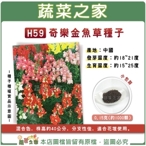 【蔬菜之家】H59.奇樂金魚草種子 0.15克(約1000顆)