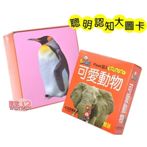 風車圖書 FOOD超人可愛動物聰明認知大圖卡42張，識字圖卡、親子互動