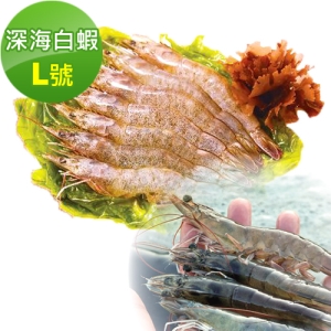 【台肥集團 台海生技】深海白蝦 L號 (有效日期：2022.11.24)－黑貓冷凍宅配，訂單成立後5個工作天內出貨