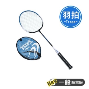 成功 45111 練習級羽拍