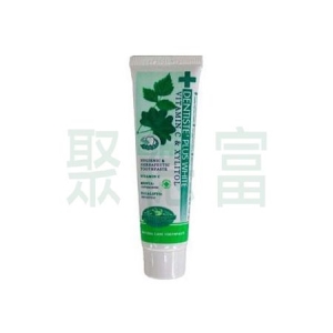 DENTISTEʼ牙醫選夜用牙膏 - 20g